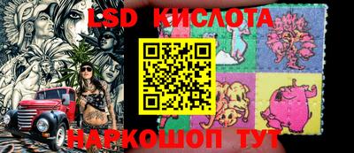 дмт Краснодар