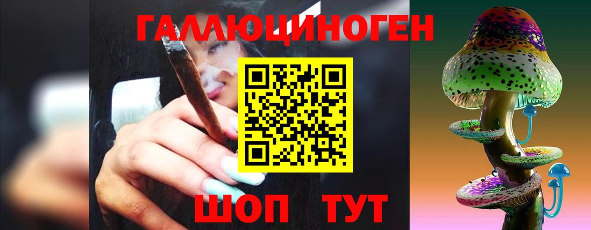 Псилоцибиновые грибы прущие грибы Качканар